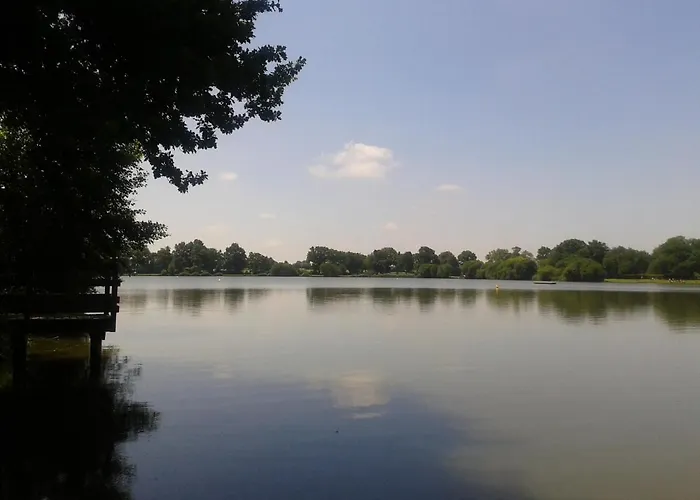 Oaki Mesnard-la-Barotière